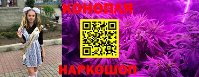 PSILOCYBIN Новозыбков