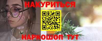 стаф Новокубанск