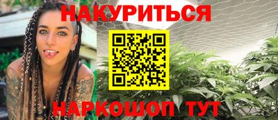 стаф Новокубанск