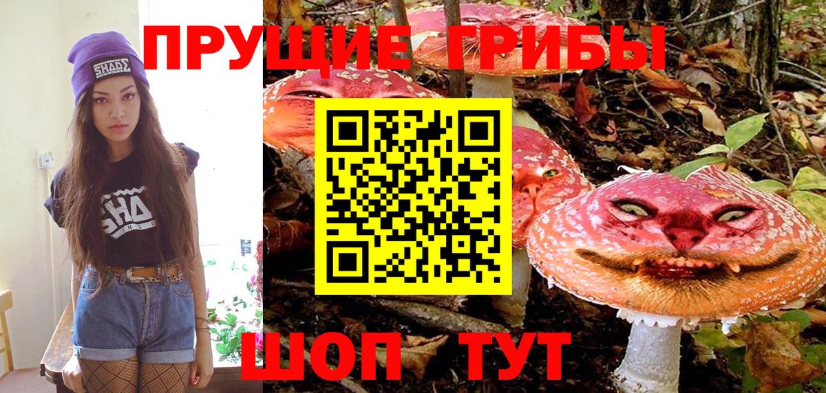 Галлюциногенные грибы GOLDEN TEACHER Заречный